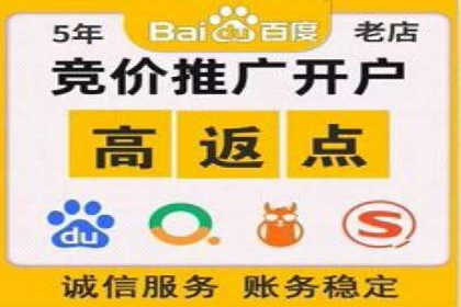 探索sem推广竞价的无限可能：成功案例集锦